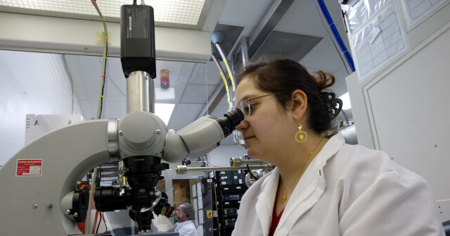 Nicole Shanahan: H1-B Visas a ‘Massive’ Cheap Labor Boon for Big Tech