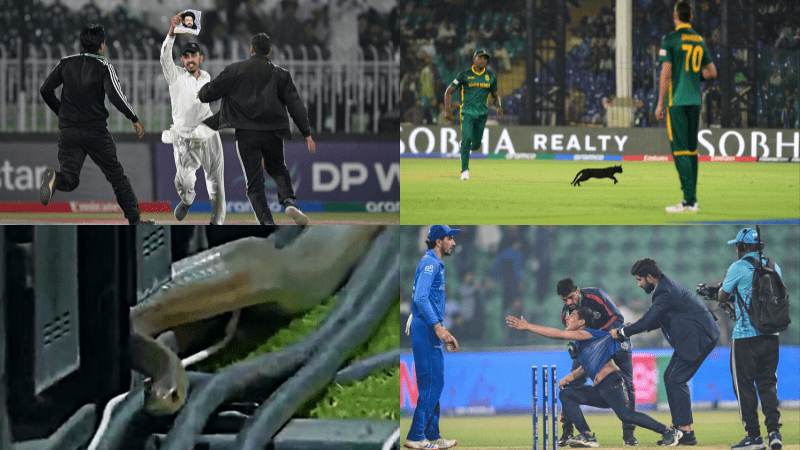 Cats, snakes and hysterical fans — Four times the 2025 Champions Trophy saw intruders on the pitch – Culture