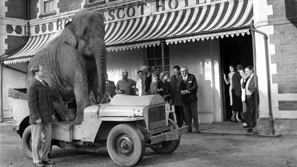 The Family Office Market: Does Size Matter?