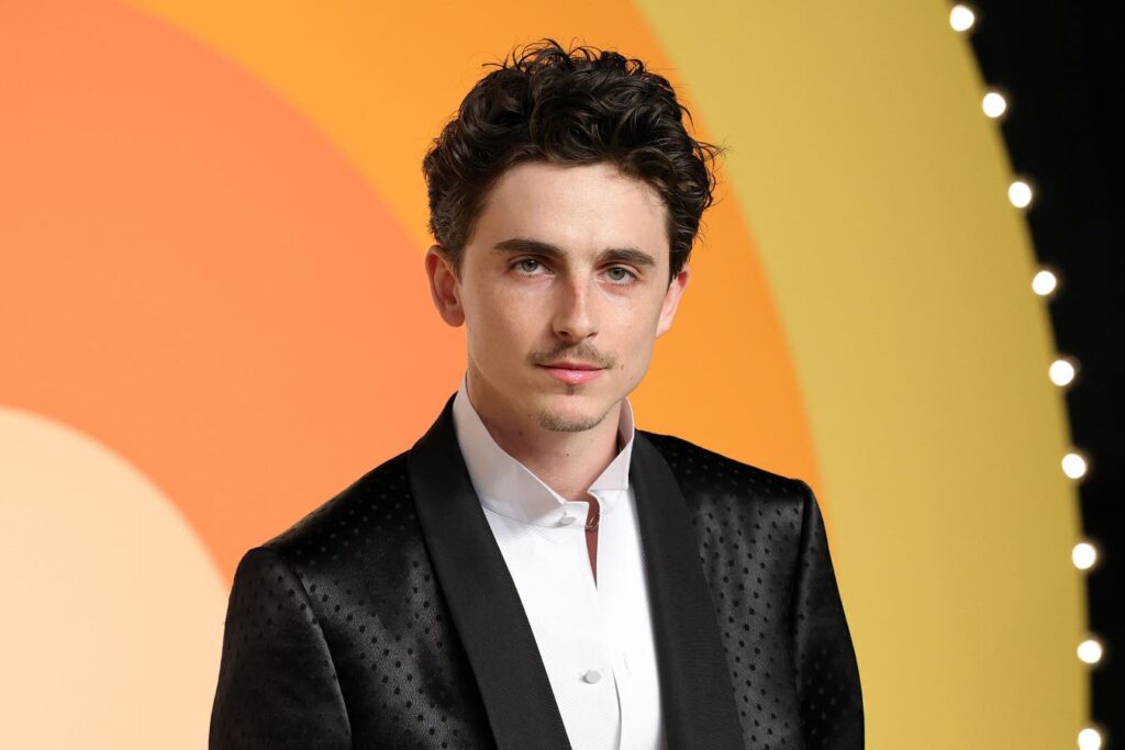 Timothée Chalamet Reaches Never-Before-Seen Highs On The Billboard Charts