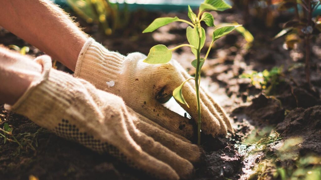 These Books Explore How Deeply Food Matters To People And The World