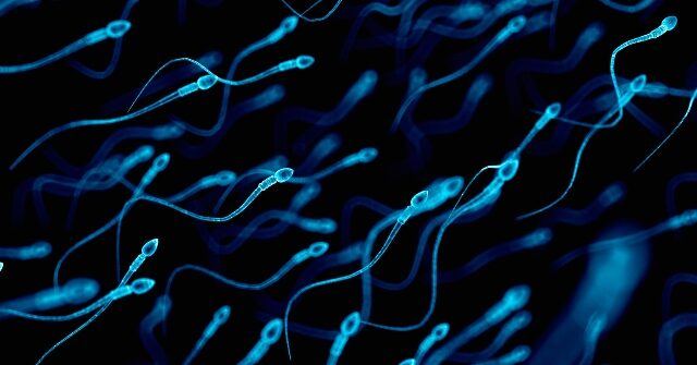Largest U.S. Sperm Bank Suffers Data Breach Exposing Personal Information