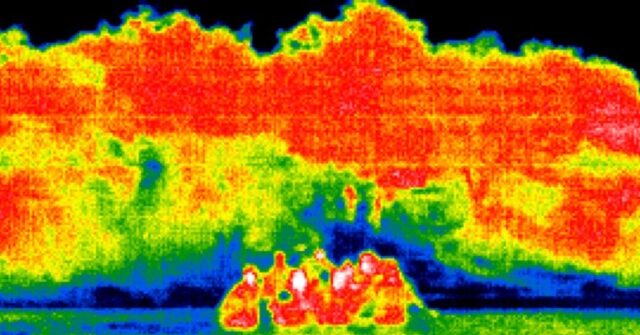 Woke Employees’ Worst Nightmare: Google Plays Pivotal Role in CBP’s AI-Powered Border Surveillance Upgrade