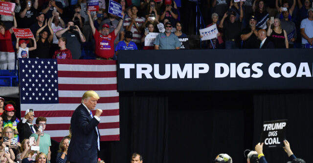 Trump Expected to Take Action to Boost Domestic Coal Production, Usage