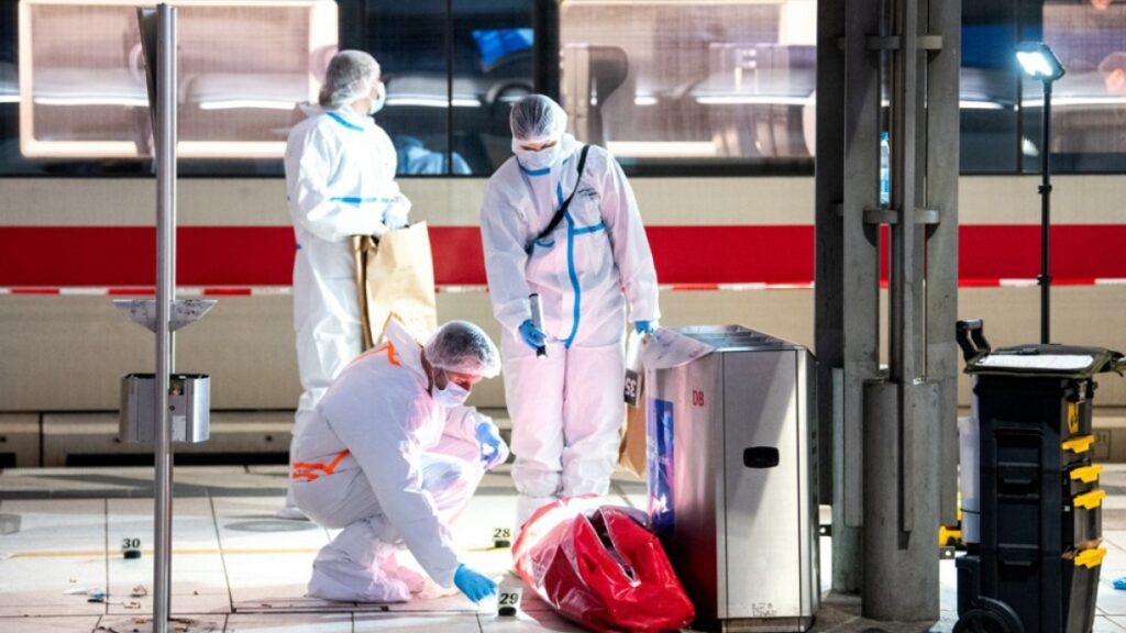 German woman arrested after mass stabbing at Hamburg train station | Crime News