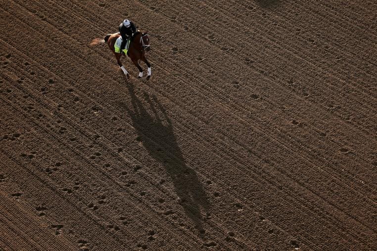 Live Odds, Bets And Baeza’s Fight With Himself