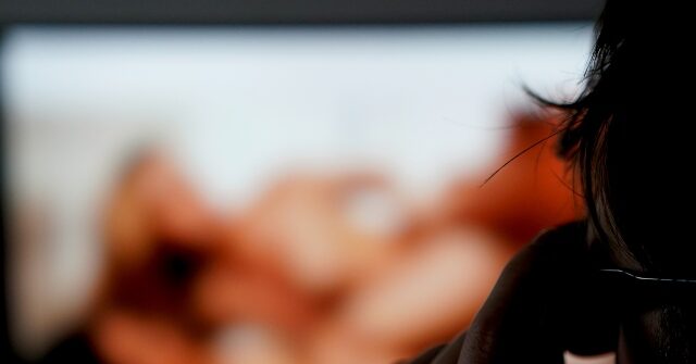 Congressional Republicans Introduce Bill to Crack Down on Online Pornography Reaching Children