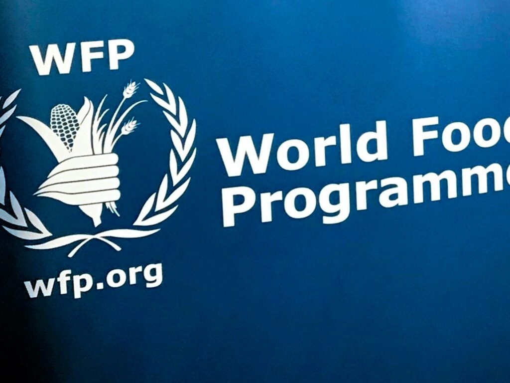 ‘This must stop now’: UN food body condemns RSF attacks on Sudan premises | Sudan war News