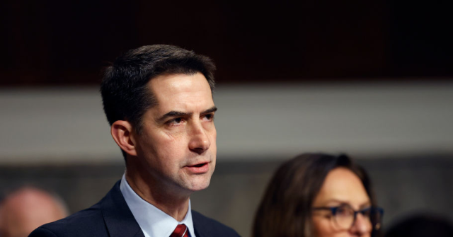 Exclusive — Sen. Tom Cotton Proposes Repeal of DEI Requirements for STEM Workforce