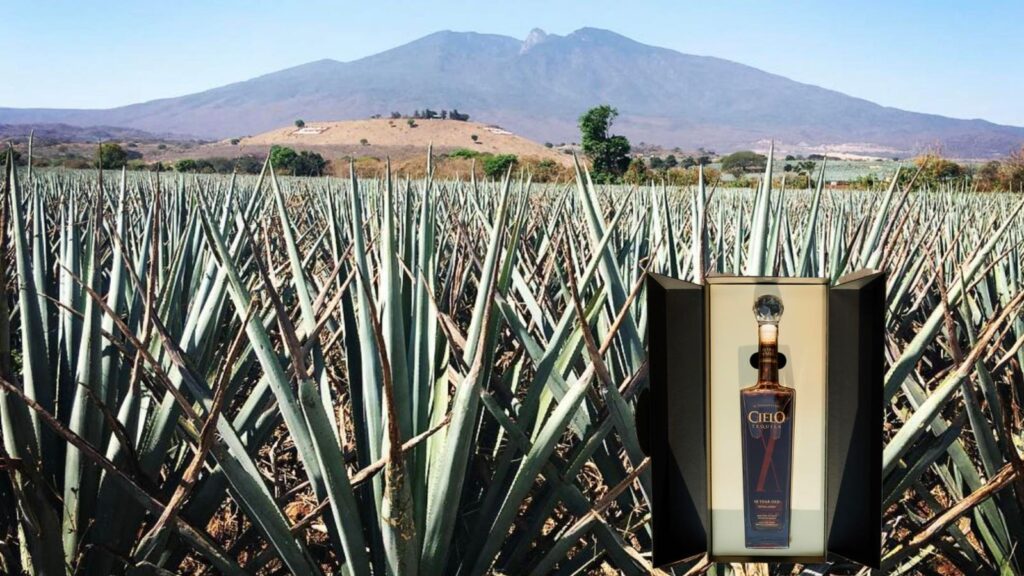 Cielo Launches One Of The Oldest Premium Tequilas Ever