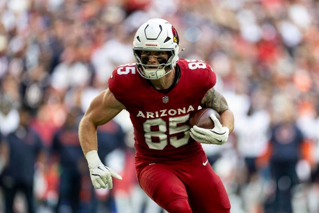 2025 Fantasy Football TE Rankings (Top 5)