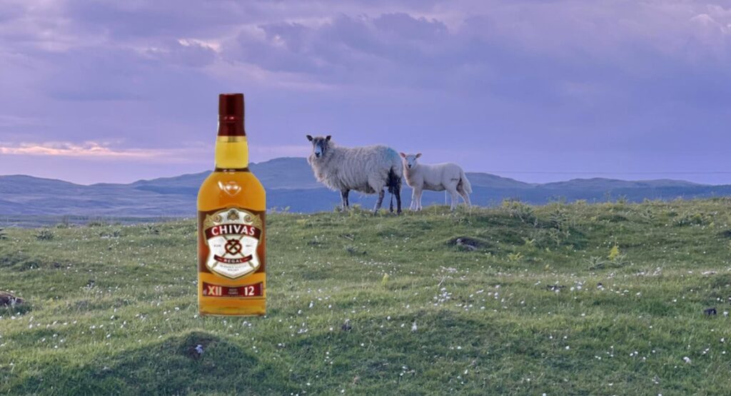 The World’s Best Blended Scotch Whisky—According To The 2025 ASCOT Awards