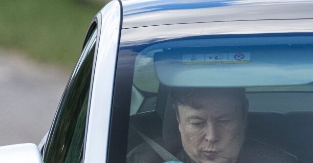 Texas Lawmakers Urge Elon Musk to Delay Tesla Robotaxi Launch in Austin