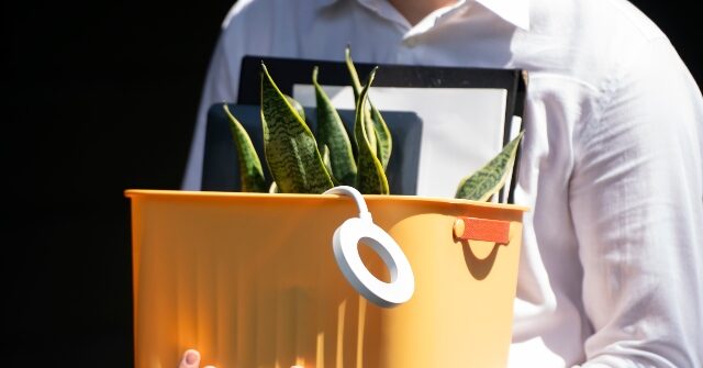 Walmart Lays Off Silicon Valley Tech Workers