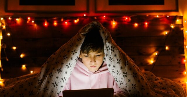 Florida Sues Porn Gaming Site and Payment Processor Claiming Age Verification Violations