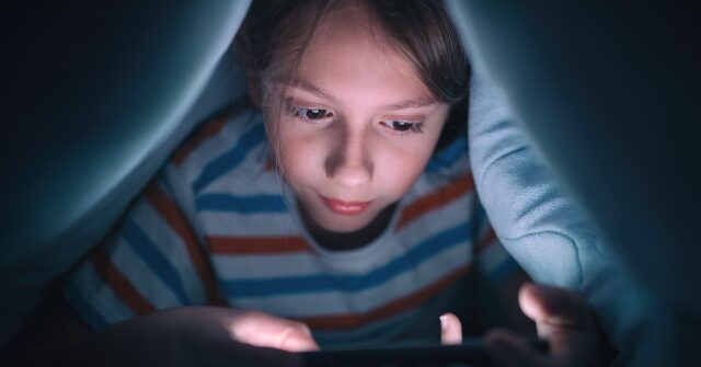 Lawsuit: Roblox and Discord Contributed to Grooming and Suicide of 15-Year-Old Boy