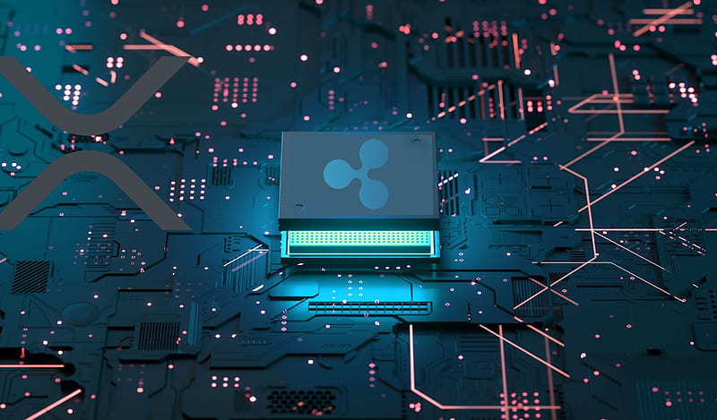 Ripple Exec Addresses Tax Issue On XRP Ledger, Where Does It Go?
