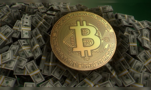 Explainer | Why the crypto market has fallen to a six-month low