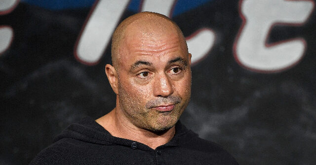 Joe Rogan Says ‘AI Could Absolutely Return as Jesus’