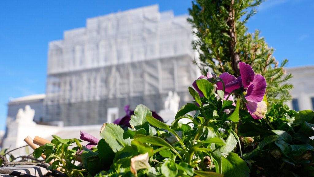 Supreme Court backs Texas GOP’s congressional map for 2026 elections