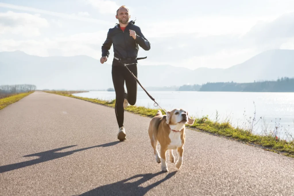 Strava Highlights New Pet Tag Feature in Iams Partnership